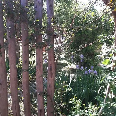 Apartment Dans Jardin