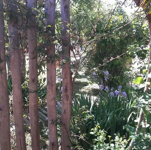 Appartamento Dans Jardin